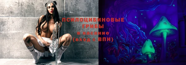 соль курить ск Каменка