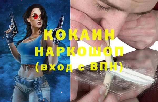 ешки Каменногорск