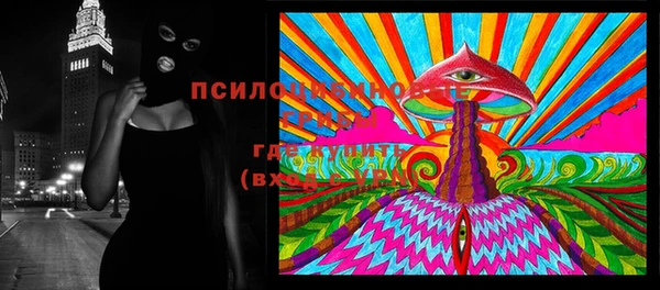 mdpv Каменск-Шахтинский