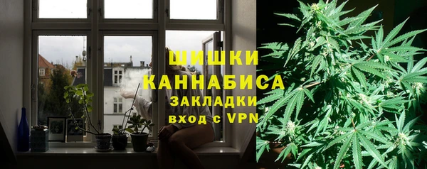 ешки Каменногорск
