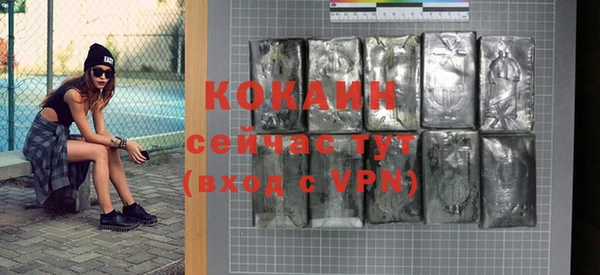 соль курить ск Каменка