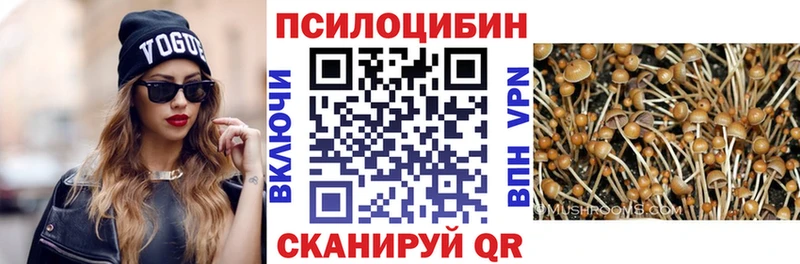 Купить закладки  Задонск  Галлюциногенные грибы Cubensis 